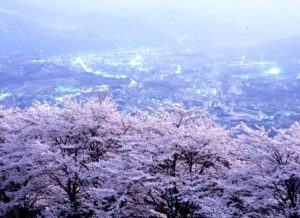 埼玉県さいたま市の結婚相談所コラボ大宮がおすすめするお花見デートスポット秩父美の山公園